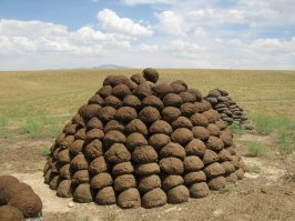 Кашкадарья.