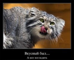 Немного классики:)