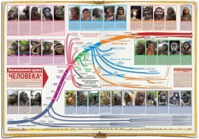 Загадки эволюции: почему не эволюционируют современные обезьяны?