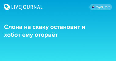 Девушка дважды спасла застрявшего в заборе оленя