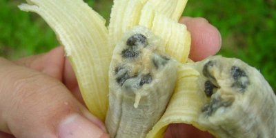 Прикольные и смешные картинки