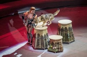 Выступают..уже давно и неплохо