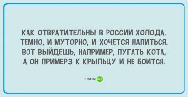 Про кота просто огонь!