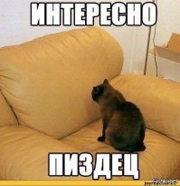 Правда и вымысел о растительных маслах: комментарии гастроэнтеролога