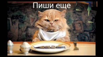 Мясо, запечённое в духовке цельным куском по-немецки