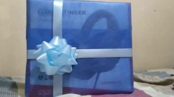 Так может тут есть такой умысел. И в коробке вовсе не наушники, а, скажем, носки.