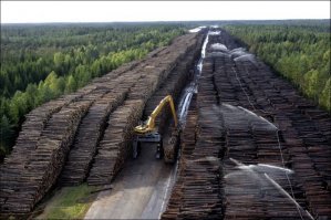Последствия циклона в Швеции.
В 2005 году на территории Дании и Швеции пронесся сильнейший циклон - Gudrun.
В это время 1,3% леса было повалено, это составило 75000000 кубометров древесины, которую собрали по всему лесу.
Ее стали складировать, создав самое большое в мире хранилище пиломатериалов: 2,5 км в длину и 13 метров в высоту.