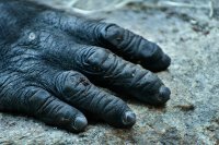 Картинки с надписями