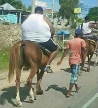 Упитанный араб решил прокатиться на верблюде