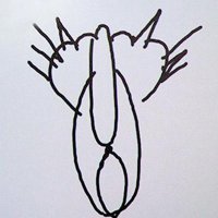 У нас тоже есть один художник ;)