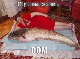 Прикольные и смешные картинки