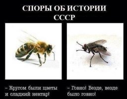 Во весь голос: как Юрий Левитан озвучивал историю страны