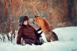 Рыжие и пушистые: развенчание мифов о лисах