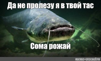 Прикольные и смешные картинки