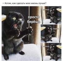 Прикольные и смешные картинки