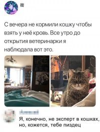 Скрины из социальных сетей