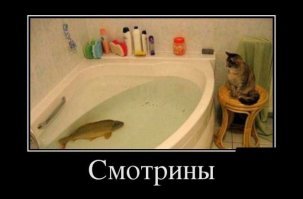 Четверг - рыбный день

.
