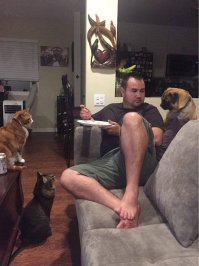 Первый раз слышу о таких традициях.
Коты всегда к месту!

.