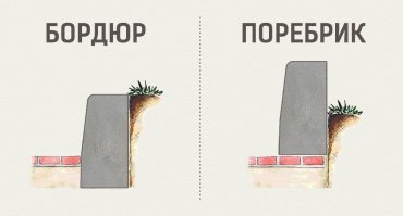 Не парадноЕ а параднаЯ! 

У нас так говорят, потому-что раньше все дома строили с двумя входами, параднаЯ лестница и чёрная лестница! 
Основной вход был и есть с парадной лестницы, поэтому это слово так и прижилось. Черной лестницей пользовалась прислуга, так как эта лестница вела прямиком на кухню, по чёрной лестнице так-же заносили в квартиры дрова и уголь для печей, газа же тогда не было. 

По поводу Поребрика и Бордюра.
