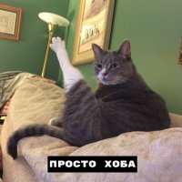 А как они делают "хобу" ?
