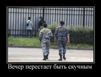 Охота белых тигров на зебру.