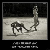 Подборка гифок