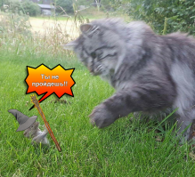 Фотоподборка