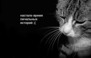 Хамство к пожилым людям