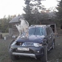 13 ситуаций, в которых бы было смешно, если бы не было так грустно