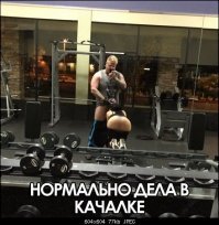 Жены бодибилдеров: каков он, надежный тыл известных силачей