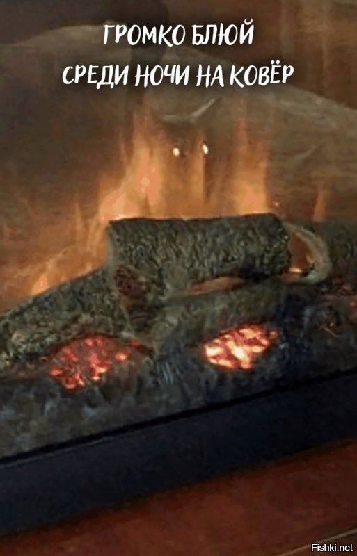 15 доказательств того, что без котов наша жизнь была бы невероятно скучной