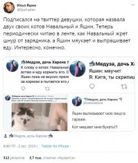 15 доказательств того, что без котов наша жизнь была бы невероятно скучной