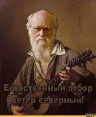 Парень предпринял нелепую попытку  оглушить рыбу прикладом заряженного ружья 