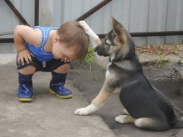 ты посвящаешся в ...
в рыцари!?
нет ..лучше. в друга собак!!!!