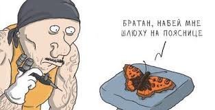 Мастерица проводит успешные операции по пересадке крыльев бабочкам