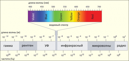 Сюда копайте, ученые.