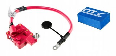 С 1999 (если не ошибаюсь) на автомобили BMW ставятся аккумуляторные клеммы с пиропатроном.