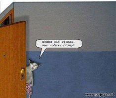 Космос 3: Огнь, Птчок, Огнь!