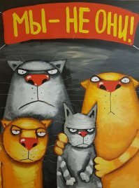 Все не как у людей: что не так с американцами