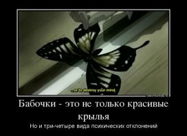 Мастерица проводит успешные операции по пересадке крыльев бабочкам