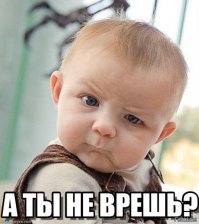 Месть кота. Бессмысленная и беспощадная