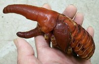 Главное, в секс-шопы не завозить!
