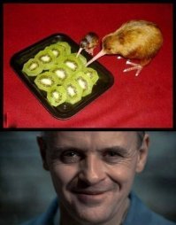 Картинки с надписями