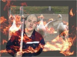 Воруй, убивай, #би гусей)