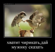 Удачно сделанные фотографии