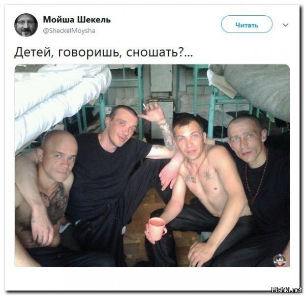как бы не ужасно это звучало: но сейчас, в деле синицы, вся надежда только на этих чуваков...ибо кроме них - некому... ну если вы понимаете о чем речь