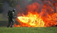 Гламурная свадьба или обряд посвящения элитарной сатанинской секты?