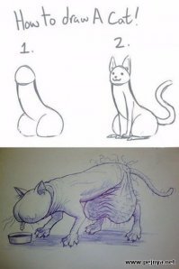 Кошачей пушистости пост