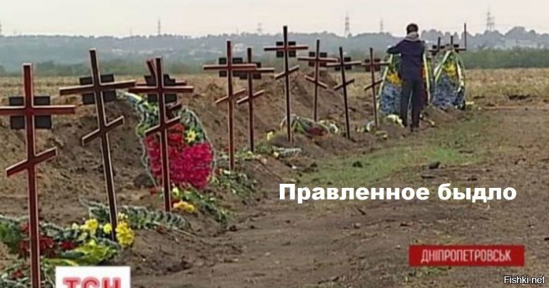 Бояны про Украину 2