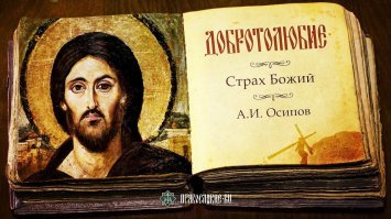 20 постов, в которых комменты один краше другого